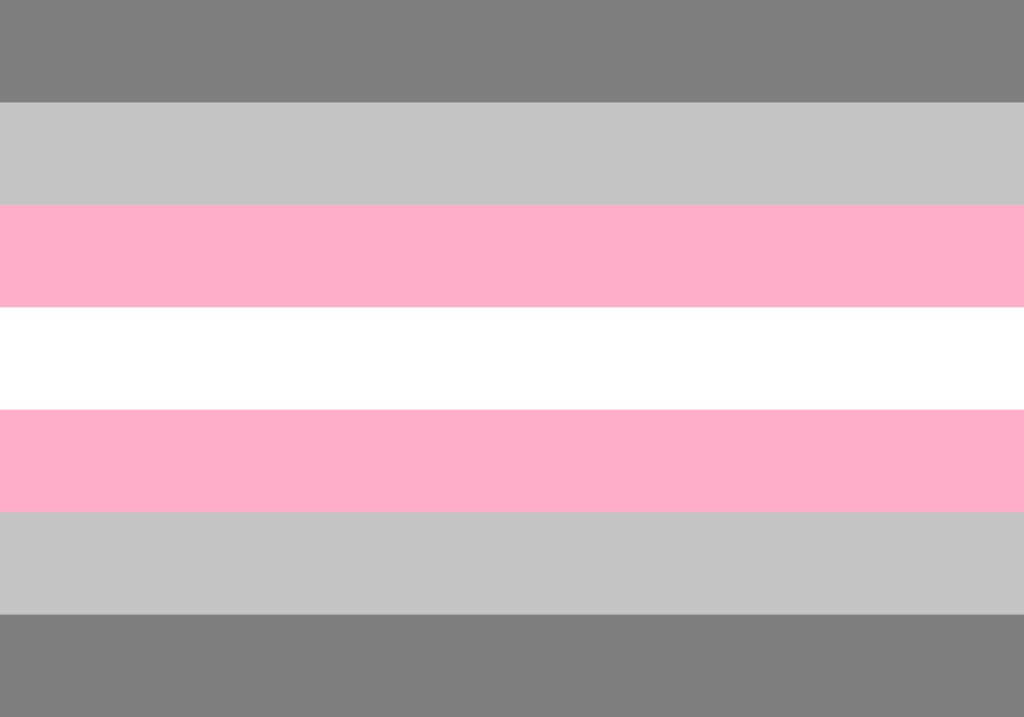 demigirl pride flag